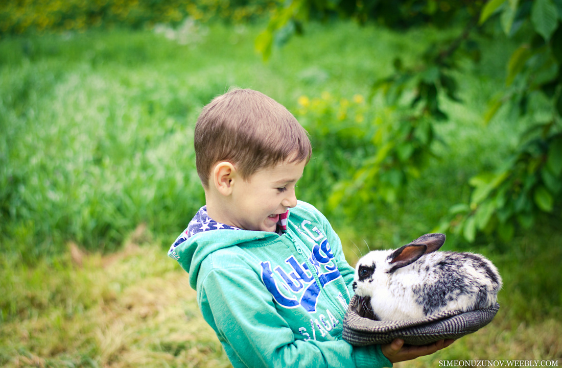 Детска фотосесия с живо зайче